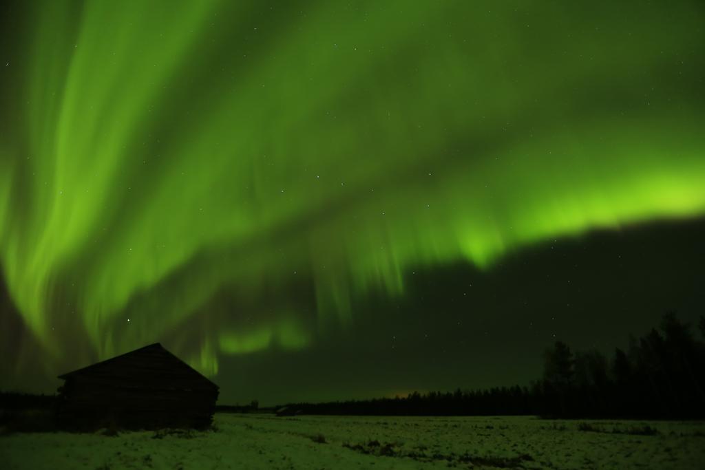 Lapland Northern Lights Hotel Ilveslinna Ranua Exterior photo