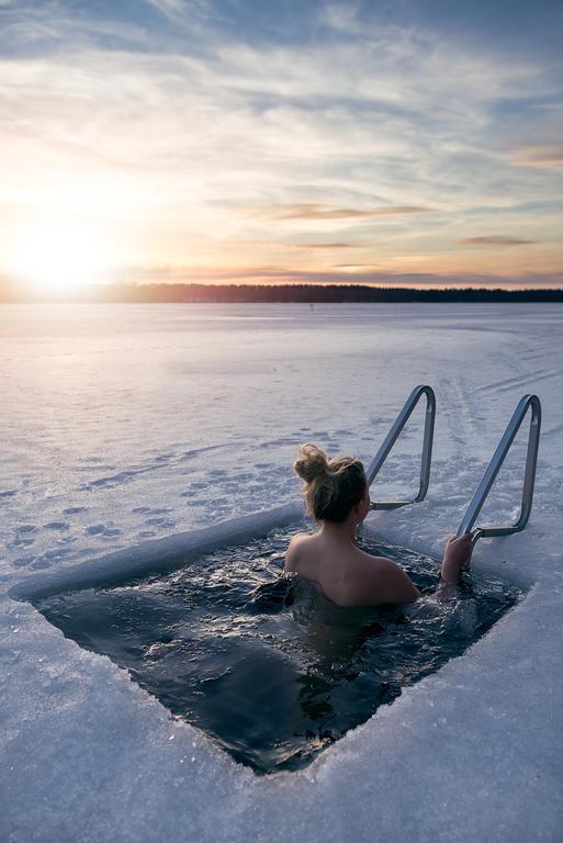 Lapland Northern Lights Hotel Ilveslinna Ranua Exterior photo